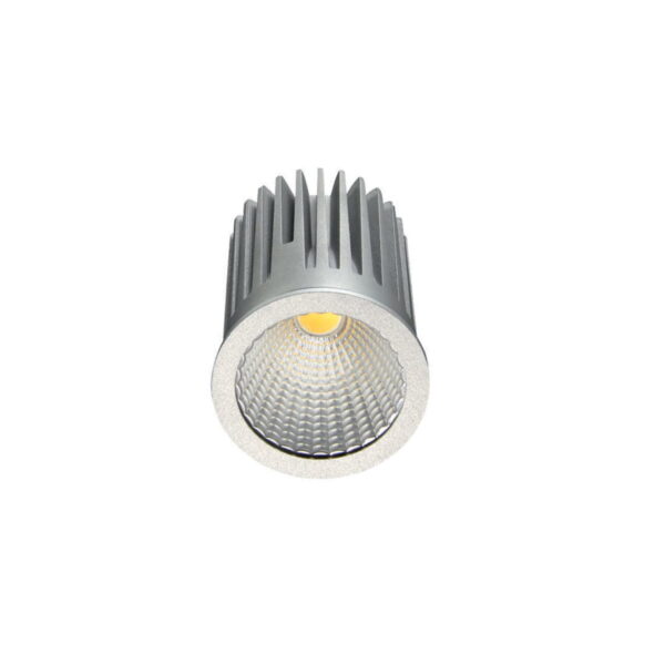 10W Spot Light Module HYBEC